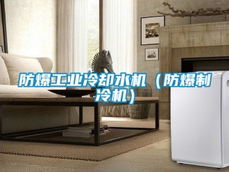 企業(yè)新聞防爆工業(yè)冷卻水機(jī)（防爆制冷機(jī)）