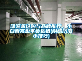 企業新聞除濕機選購與品牌推薦，小白看完也不會選錯(附贈防潮小技巧)
