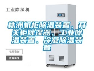 常見問題株洲機(jī)柜除濕裝置、開關(guān)柜除濕器、工業(yè)除濕裝置、冷凝除濕裝置