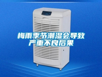 行業(yè)新聞梅雨季節(jié)潮濕會(huì)導(dǎo)致嚴(yán)重不良后果