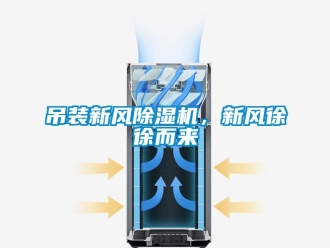 企業新聞吊裝新風除濕機，新風徐徐而來
