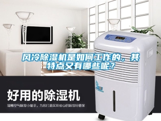 行業(yè)新聞風(fēng)冷除濕機(jī)是如何工作的，其特點(diǎn)又有哪些呢？