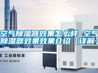 行業(yè)新聞空氣除濕器效果怎么樣 空氣除濕器效果效果介紹【詳解】