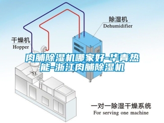 行業新聞肉脯除濕機哪家好-華青熱能-浙江肉脯除濕機