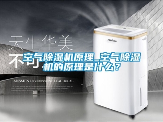 行業(yè)新聞空氣除濕機(jī)原理_空氣除濕機(jī)的原理是什么？