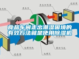 企業新聞食品車間走出潮濕困境的有效方法就是使用除濕機
