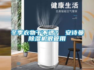 企業新聞冬季衣物干不透？ 安詩曼除濕機很管用