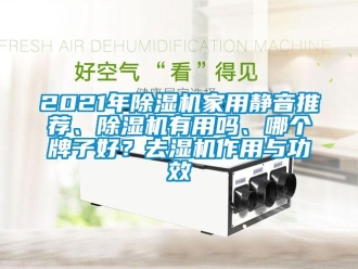 常見(jiàn)問(wèn)題2021年除濕機(jī)家用靜音推薦、除濕機(jī)有用嗎、哪個(gè)牌子好？去濕機(jī)作用與功效