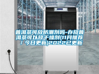 常見問題普洱茶可放防潮劑嗎-存放普洱茶可以放干燥劑(11月推薦／今日更新)2022已更新