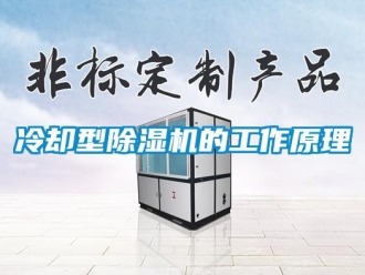 行業新聞冷卻型除濕機的工作原理