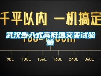 常見問題武漢步入式高低溫交變試驗(yàn)箱