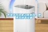 養豬場手提電動噴霧器，便攜式消毒設備