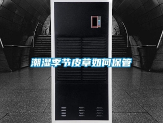 常見問題潮濕季節(jié)皮草如何保管