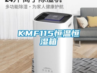 常見(jiàn)問(wèn)題KMF115恒溫恒濕箱