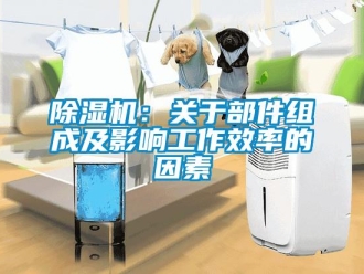 常見問題除濕機：關于部件組成及影響工作效率的因素