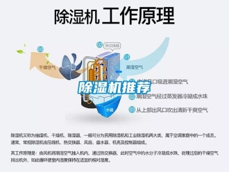 行業新聞除濕機推薦