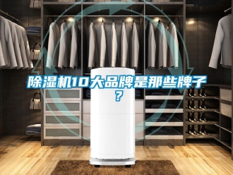 企業新聞除濕機10大品牌是那些牌子？