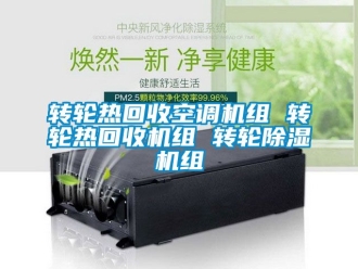 常見問題轉(zhuǎn)輪熱回收空調(diào)機(jī)組 轉(zhuǎn)輪熱回收機(jī)組 轉(zhuǎn)輪除濕機(jī)組