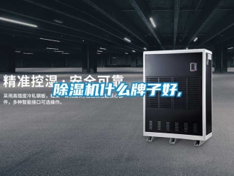 行業(yè)新聞除濕機什么牌子好,