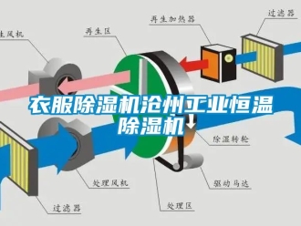 常見問題衣服除濕機滄州工業恒溫除濕機