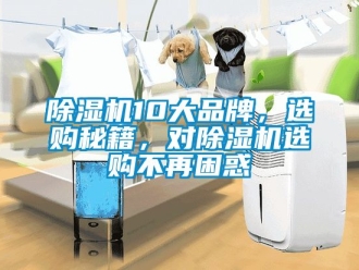 企業新聞除濕機10大品牌，選購秘籍，對除濕機選購不再困惑