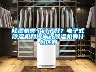 行業新聞除濕機哪個牌子好？電子式除濕機和冷凍式除濕機有什么區別