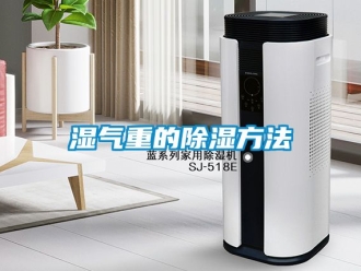 企業(yè)新聞濕氣重的除濕方法