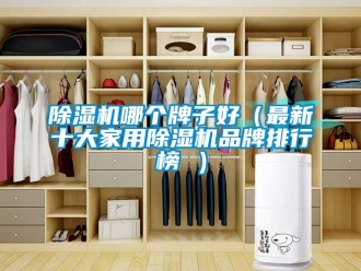 企業新聞除濕機哪個牌子好（最新十大家用除濕機品牌排行榜 ）