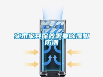知識百科實(shí)木家具保養(yǎng)需要除濕機(jī)防潮