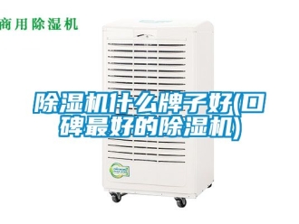 行業(yè)新聞除濕機什么牌子好(口碑最好的除濕機)