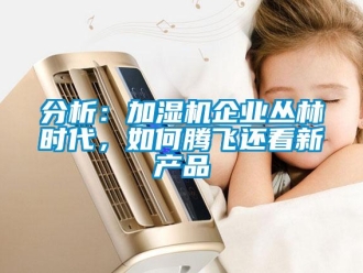 常見問題分析：加濕機企業(yè)叢林時代，如何騰飛還看新產(chǎn)品