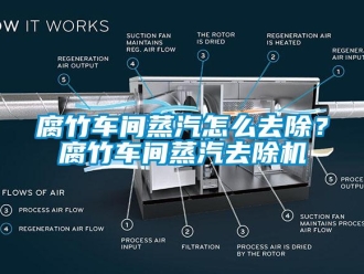常見問題腐竹車間蒸汽怎么去除？腐竹車間蒸汽去除機