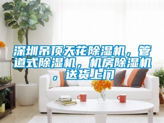 行業(yè)新聞深圳吊頂天花除濕機(jī)，管道式除濕機(jī)，機(jī)房除濕機(jī)，送貨上門