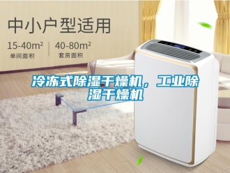 行業(yè)新聞冷凍式除濕干燥機，工業(yè)除濕干燥機