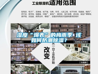 常見問題濕度“爆表”的梅雨季 該如何防潮除濕？