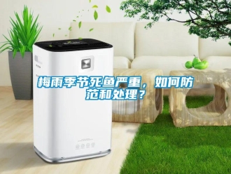 常見問題梅雨季節死魚嚴重，如何防范和處理？