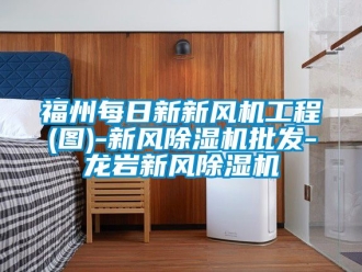 常見問題福州每日新新風機工程(圖)-新風除濕機批發-龍巖新風除濕機