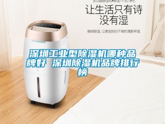 常見問題深圳工業型除濕機哪種品牌好 深圳除濕機品牌排行榜