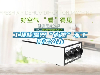 常見問題工業除濕器“心臟”不工作怎么辦