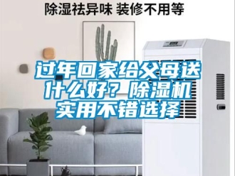 行業新聞過年回家給父母送什么好？除濕機實用不錯選擇