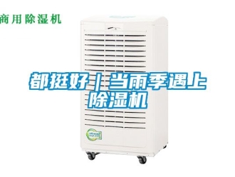 行業(yè)新聞都挺好｜當(dāng)雨季遇上除濕機(jī)
