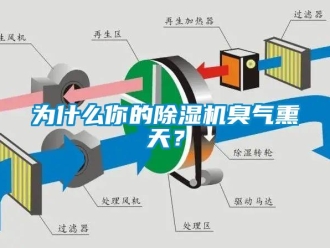 知識百科為什么你的除濕機臭氣熏天？