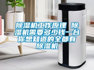 行業新聞除濕機工作原理 除濕機需要多少錢一臺 你想知道的全都有 除濕機