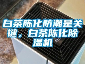 常見問題白茶陳化防潮是關鍵，白茶陳化除濕機