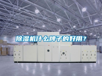行業(yè)新聞除濕機(jī)什么牌子的好用？