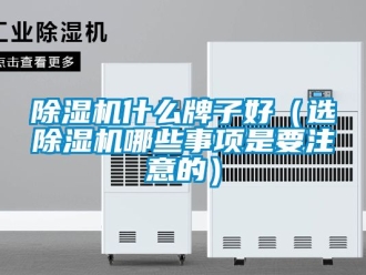 行業(yè)新聞除濕機什么牌子好（選除濕機哪些事項是要注意的）