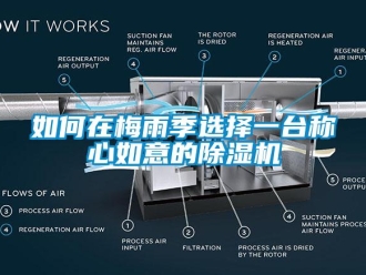 常見問題如何在梅雨季選擇一臺稱心如意的除濕機