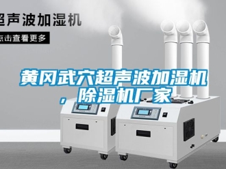 企業新聞黃岡武穴超聲波加濕機，除濕機廠家