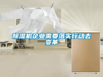 常見問題除濕機(jī)企業(yè)需要落實行動去變革