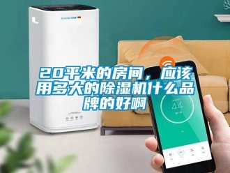 企業新聞20平米的房間，應該用多大的除濕機什么品牌的好啊